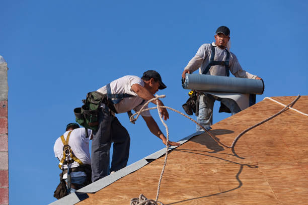 Best Storm Damage Roof Repair  in Eustace, TX