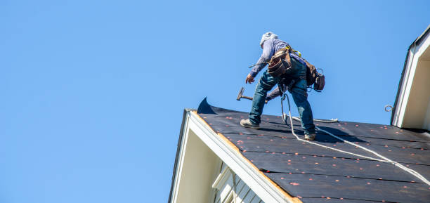 Best Roof Waterproofing Services  in Eustace, TX